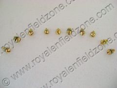 MUDGUARD SCREWS IN BRASS