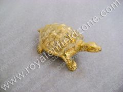TURTLE FOR FRONT MUDGUARD