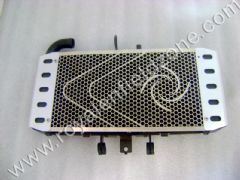 CUSTOM RADIATOR
