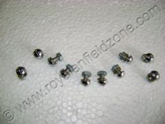 MUDGUARD SCREWS(CHROME)