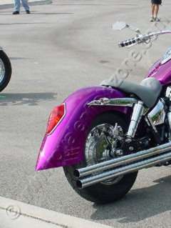CUSTOMIZED FENDER