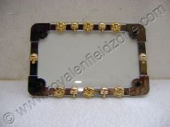 NUMBER PLATE WITH GOLDEN SKULLS